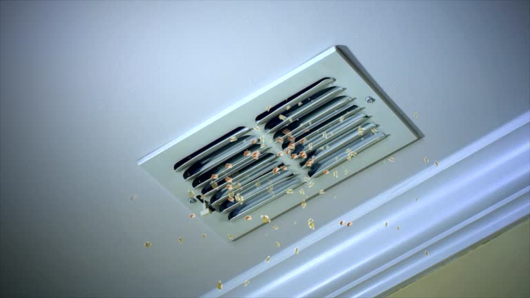 Best HVAC Air Duct Cleaning  in Mustang Ridge, TX